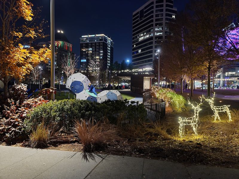 A Downtown Greensboro Anchor With Bookish Gravity
