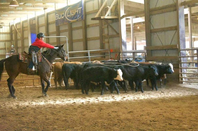 A Real Working Ranch in Southeastern Ohio