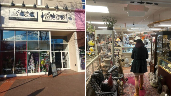 A Huge Antique Gallery In North Carolina Turns One Quick Look Into Hours Of Browsing