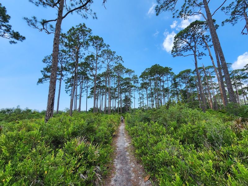 Wildlife Refuge Surroundings