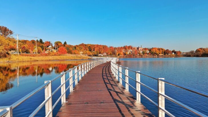 A Lakeside Boardwalk in Massachusetts Is the Easy Nature Walk People Wish They Had Closer to Home