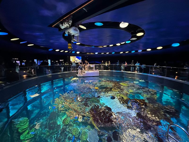 The Four-Story Giant Ocean Tank