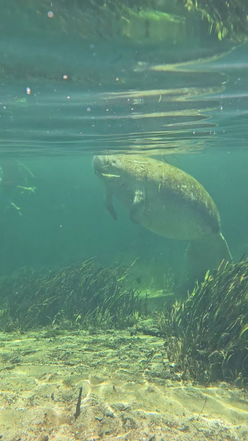 Wildlife Encounters in Pristine Habitat