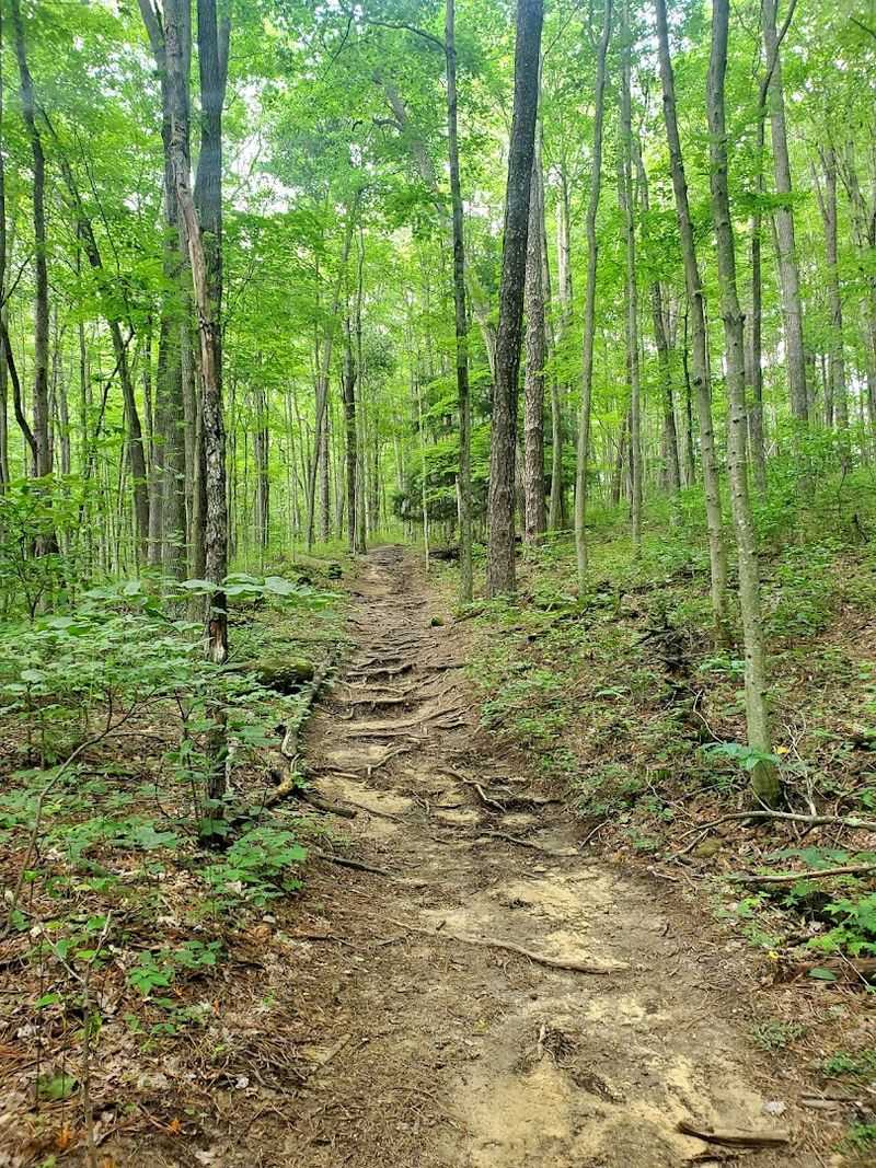 One of the Most Rugged Terrains in Ohio