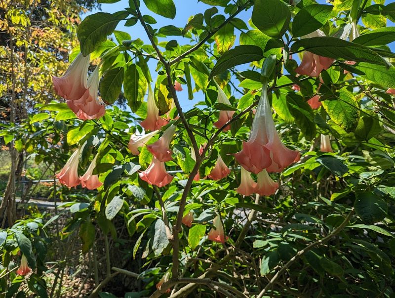 A Historic Estate Preserved for Science and Education