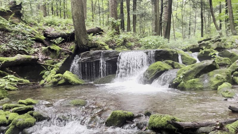A Hidden Corner of the Laurel Highlands Near Wilpen