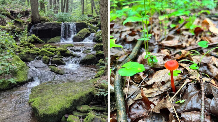 A Lesser-Known Pennsylvania Waterfall That Feels Like A Refreshing Break From The Usual Trails