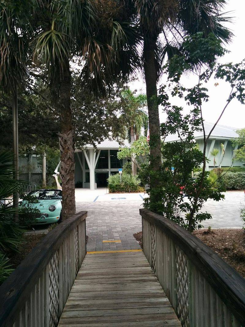 Why Native Plants Matter on Sanibel Island