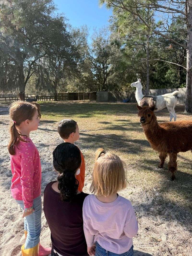 Interactive, Walk-Through Experience