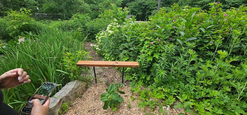 Pollinator Gardens and Native Plant Habitats