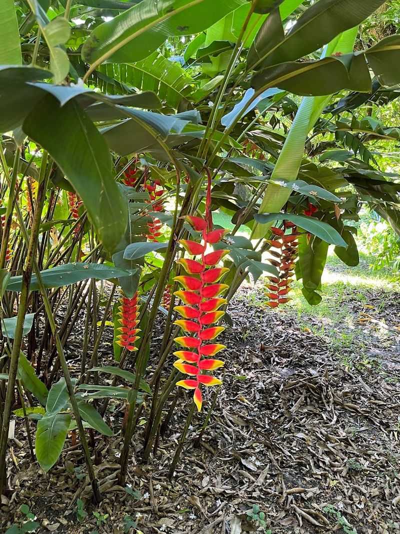 Thousands of Exotic Plant Species