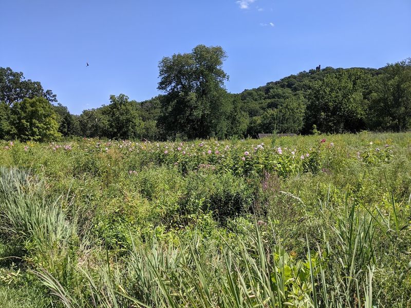 Miles of Scenic Trails Through Diverse Habitats