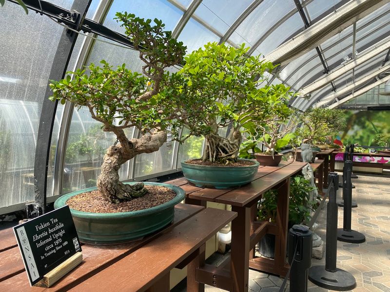 Year-Round Escape for Nature Lovers