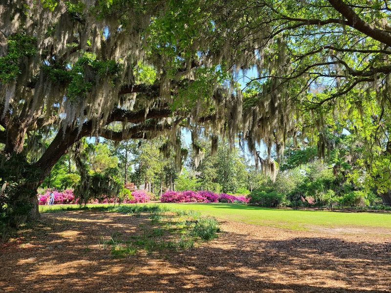 Classic Southern Garden Design