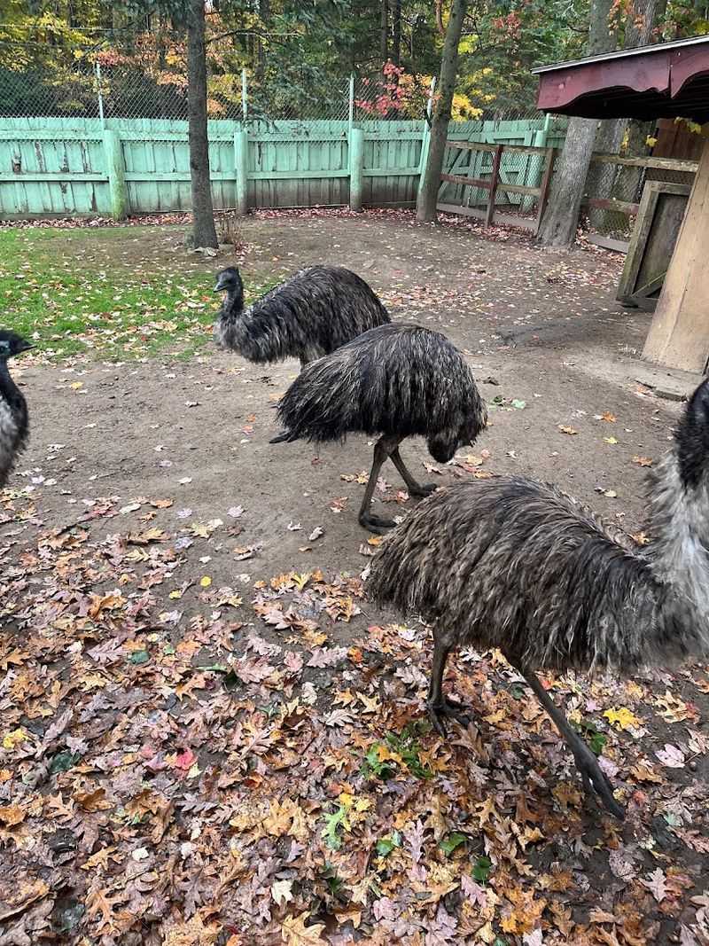 Close-Up Animal Encounters Without the Big-Zoo Crowds