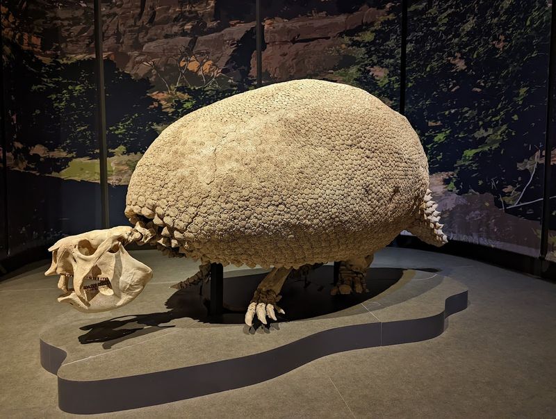 The Jaw-Dropping Fossil Gallery