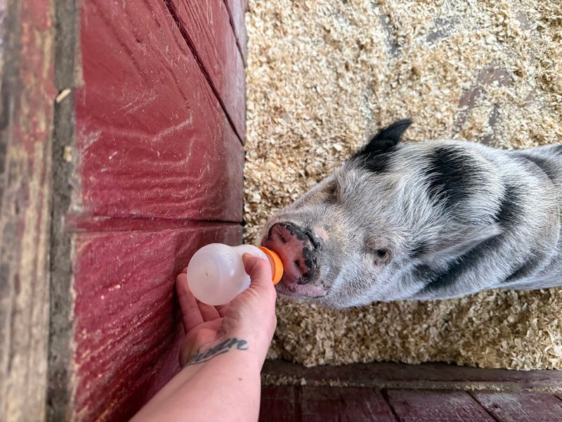 Close Encounters You Don't Expect