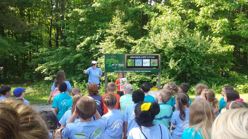 A Guided Introduction Before You Enter the Enclosure