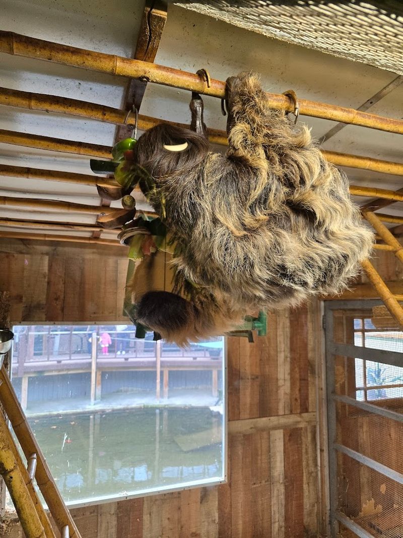 Expect the Unexpected Around Every Corner