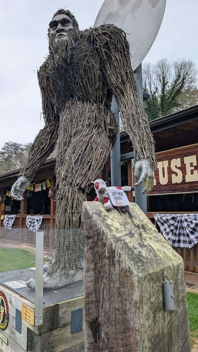 What Is Sasquatch, According to Local Lore?