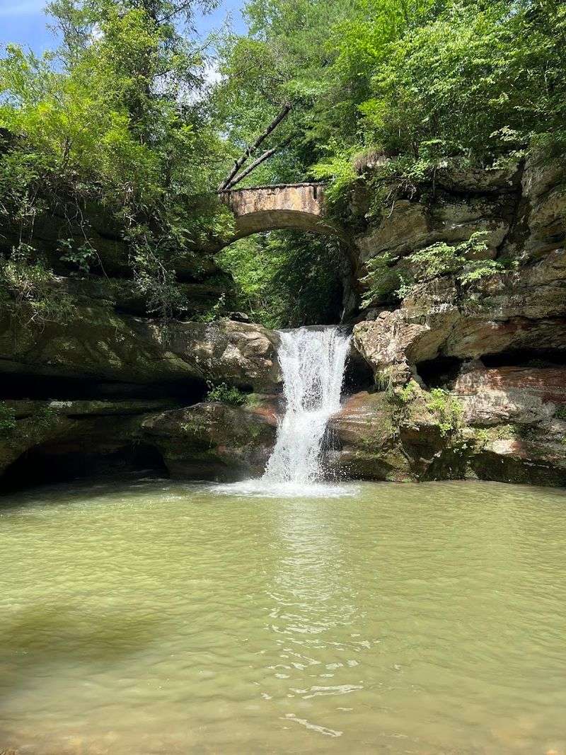 Best Times to Visit for Maximum Impact