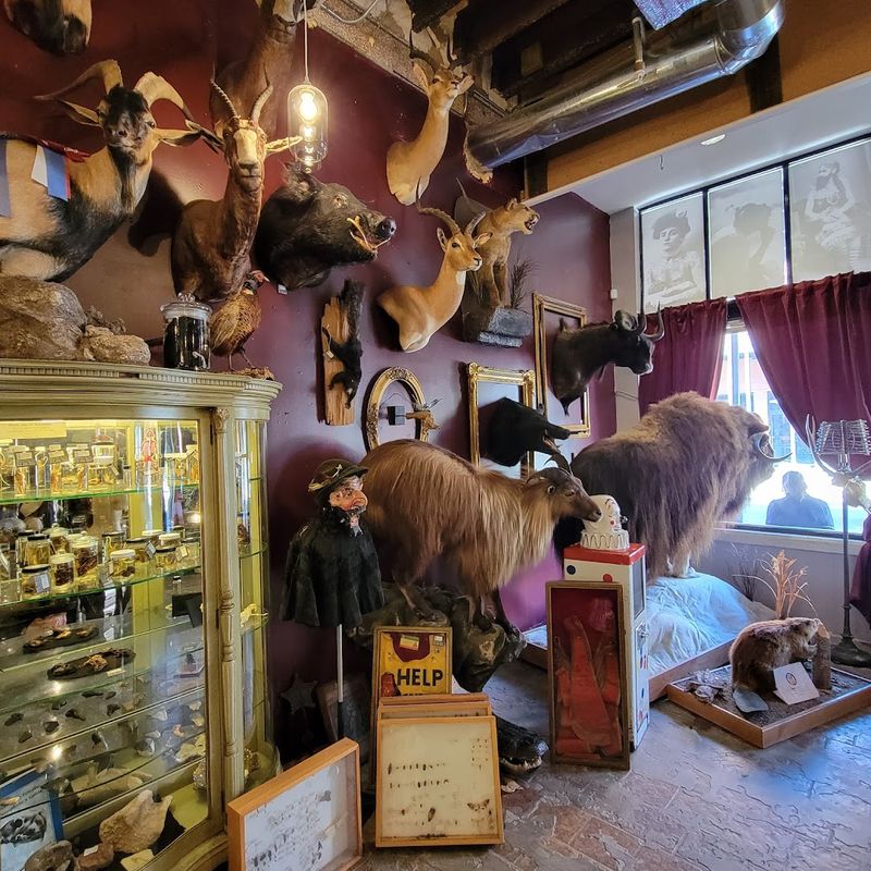 Visitor Info: Hours, Location, and Tips