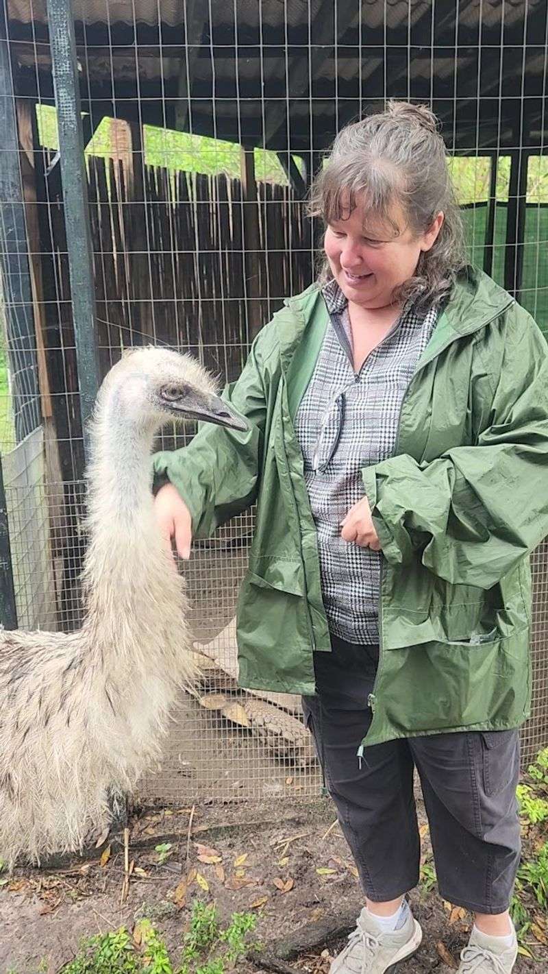 Volunteer-Run Operation With Strong Community Support