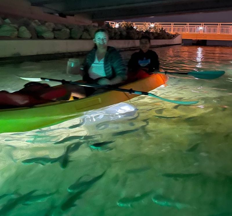 LED-Lit Kayaks That Reveal Life Beneath the Surface