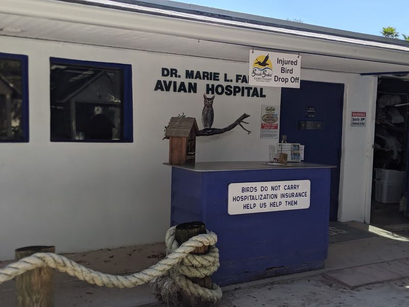 A Full-Service Avian Hospital Behind the Scenes