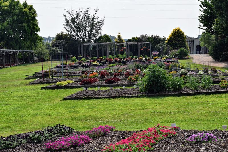 The 6,000 Species Promise