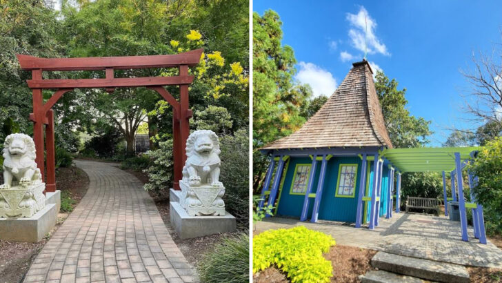 A North Carolina Arboretum Grows Over 6,000 Plant Species From Every Corner of the World and It&rsquo;s Free to Visit