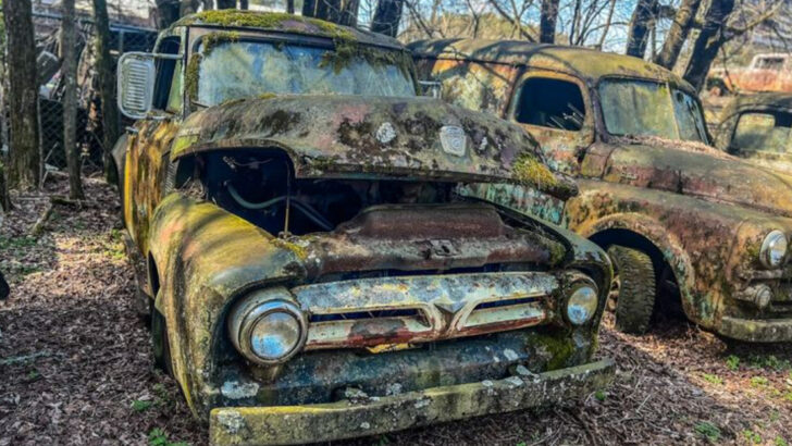 A North Georgia Junkyard Holds Rare Classic Cars That Collectors Argue Deserve Restoration
