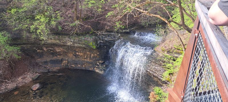 From Industrial Scar to Public Green Space: The Story Behind Quarry Trails