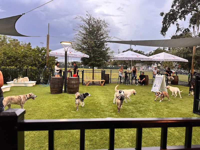 Off-Leash Play Areas Built for Safety