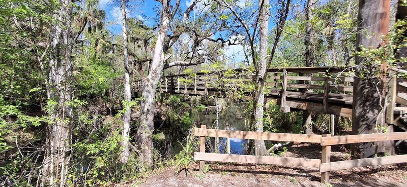 The Suspension Bridge That Stops Everyone in Their Tracks