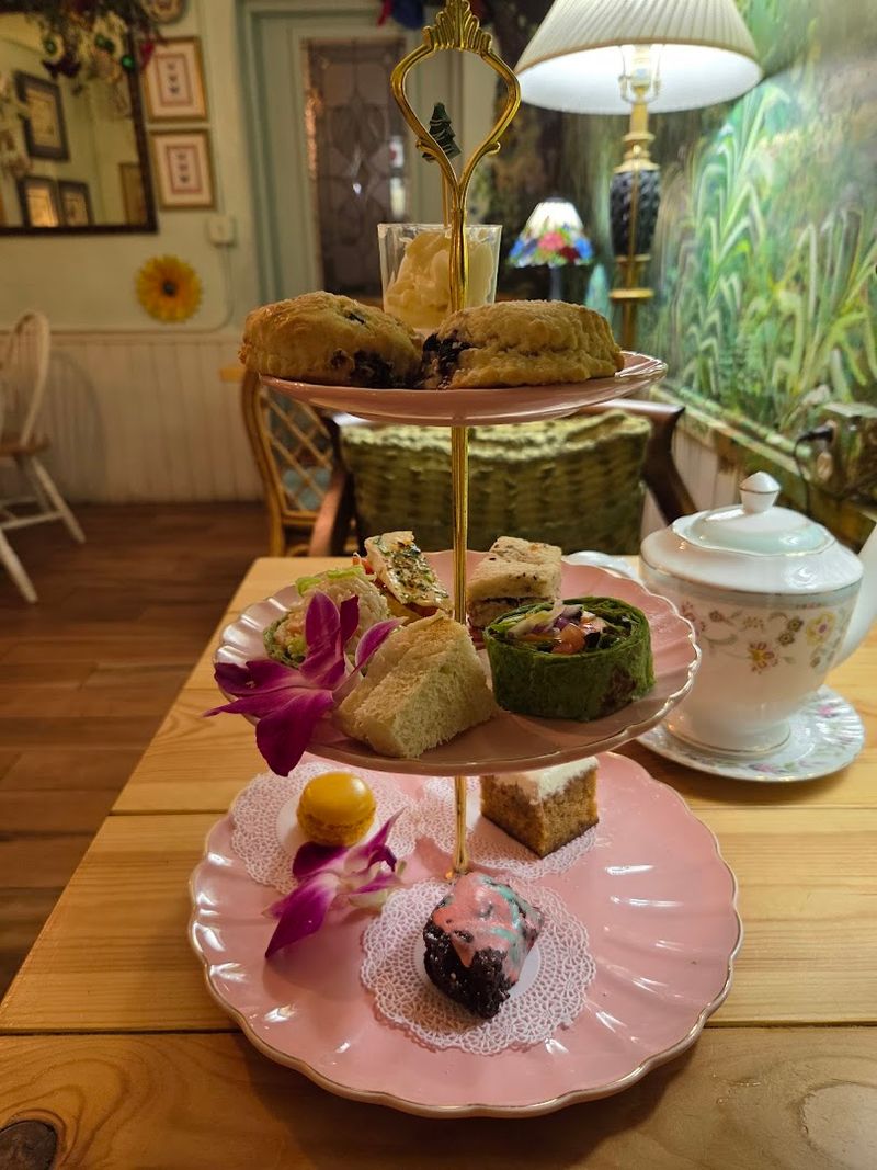 Visitor Info and Tips