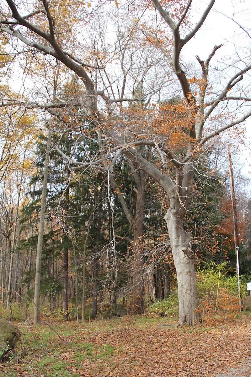 Seasonal Beauty Throughout the Year