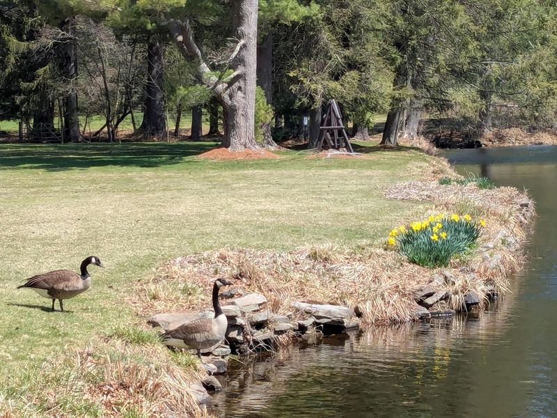 Wildlife Watching Without the Crowds