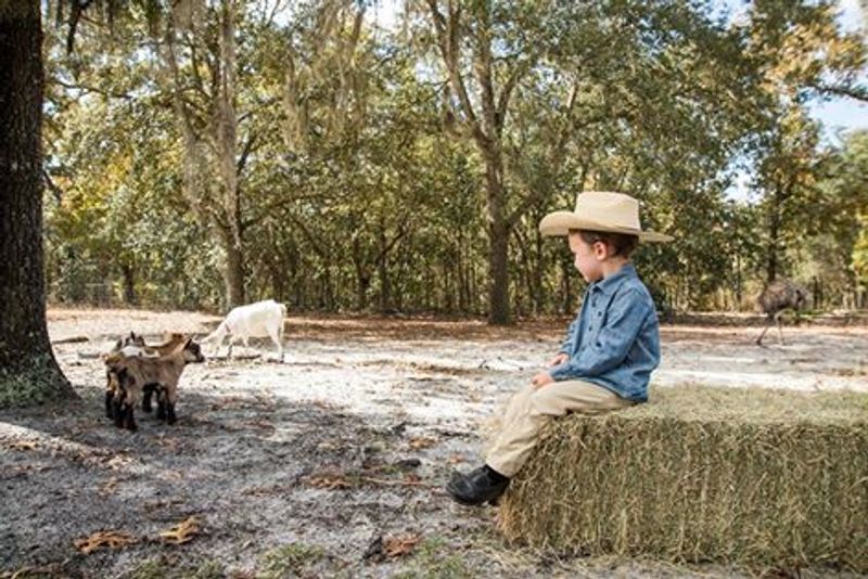 Visitor Info and Tips