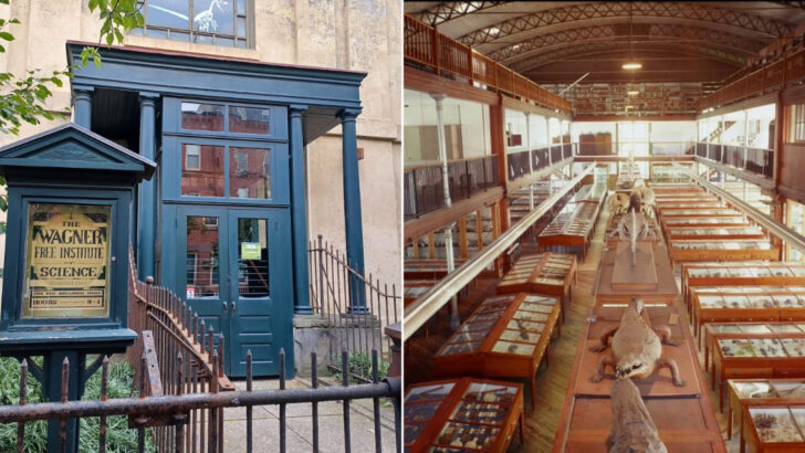 A Pennsylvania Museum Has Been Quietly Keeping the Same Victorian Exhibit Hall Alive for Over 130 Years