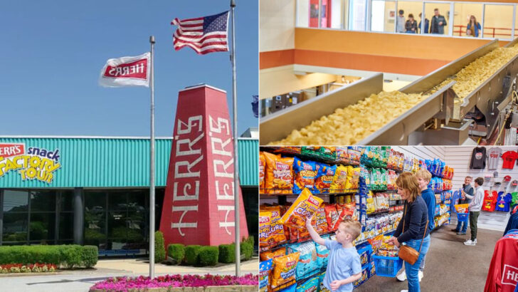 A Pennsylvania Potato Chip Factory Turns a Snack Run Into a Behind-the-Scenes Family Tour