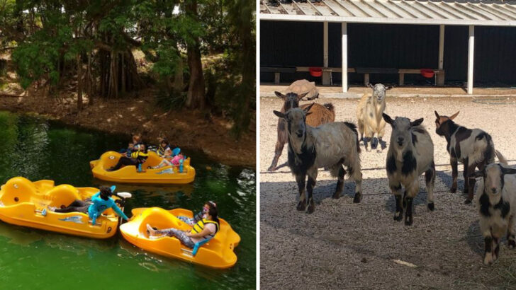 A Place in Miami, Florida Where Kids Can Pedal Boats on the Pond, Pet Goats, and Get Their Boots Dirty for a Change