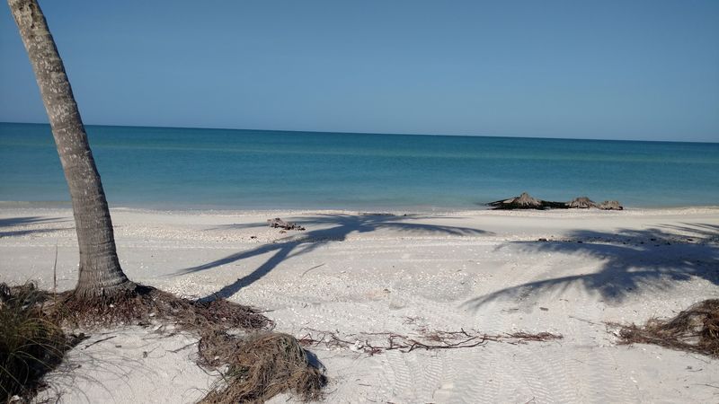 Protected by Conservation Efforts