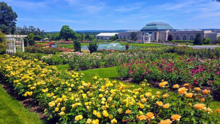 A Private Rose Garden Grew Into A 23-Acre Pennsylvania Escape With Butterflies, Fountains, And Sweeping Views