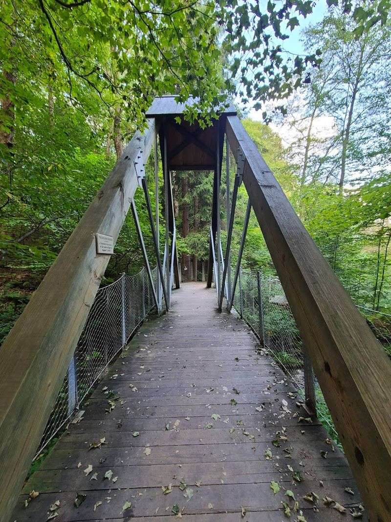 Visitor Tips and What to Know Before You Go