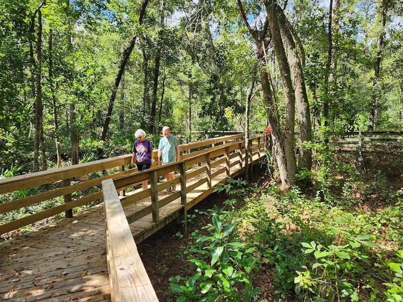The Wooden Boardwalk Experience