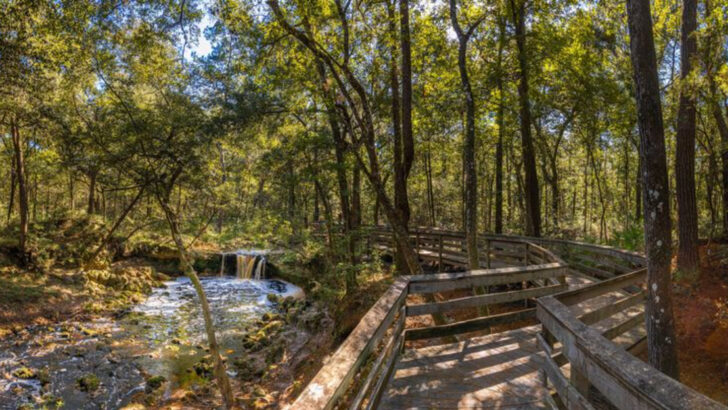 A Quiet Florida Boardwalk Leads To A Creekside Waterfall That Feels Like A Surprisingly Good Detour