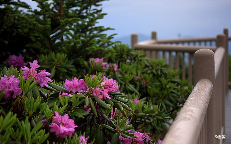 Easy Access for Casual Visitors and Families