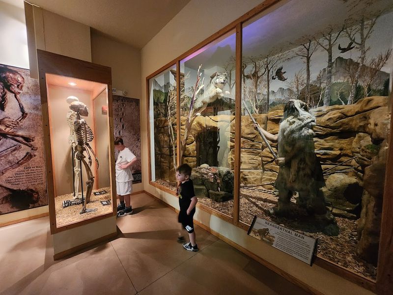 Three Floors of Wonder: Store, Museum, and Ancient History