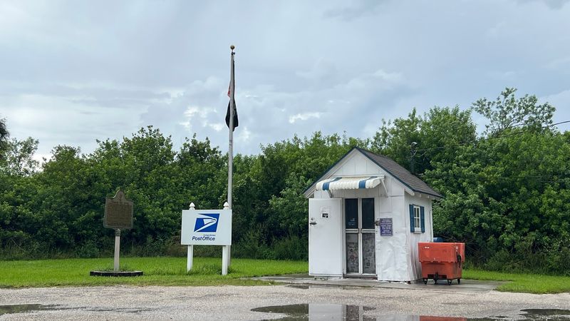 Born From a Fire in 1953